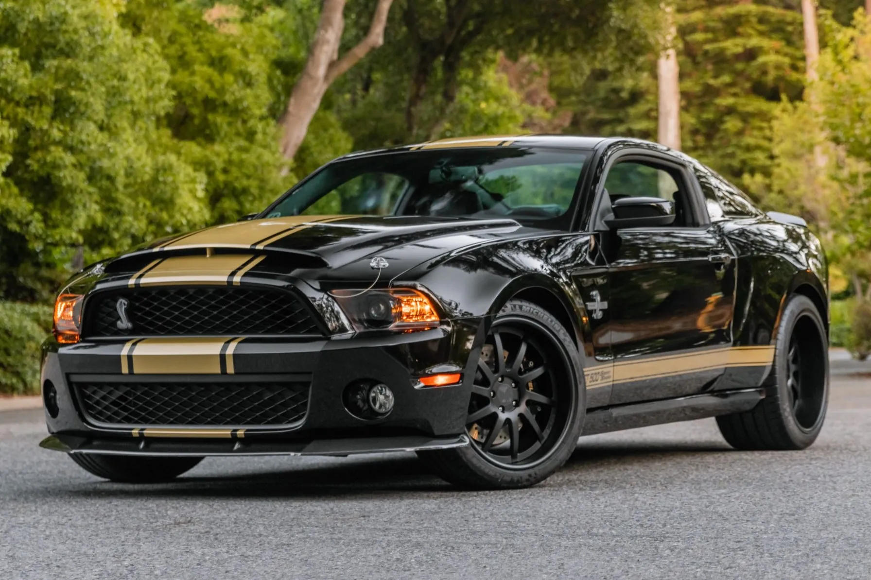 その他 Doragonhawk Ford pro Year of the snake 2008 Ford Mustang | American Muscle CarZ